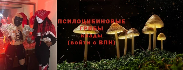 амфетамин Медвежьегорск