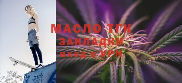 индика Мегион