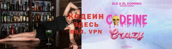 индика Мегион