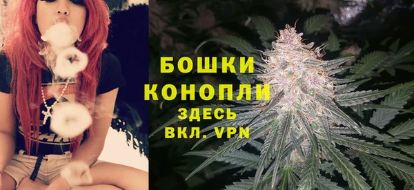 индика Мегион