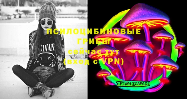 индика Мегион