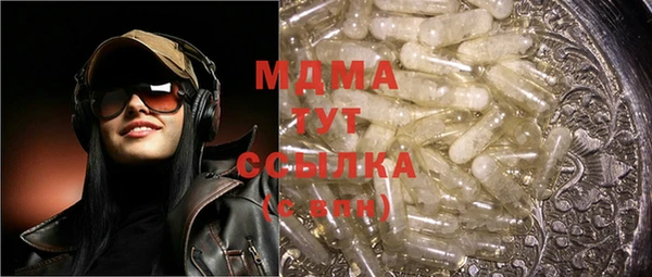 индика Мегион