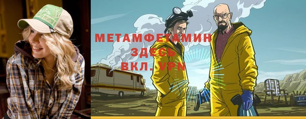 индика Мегион
