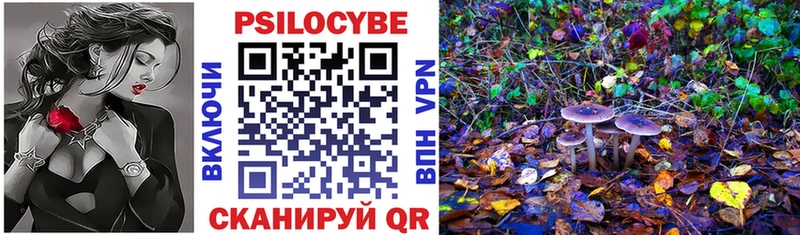 даркнет состав  Балашиха  Псилоцибиновые грибы мицелий  OMG как зайти 