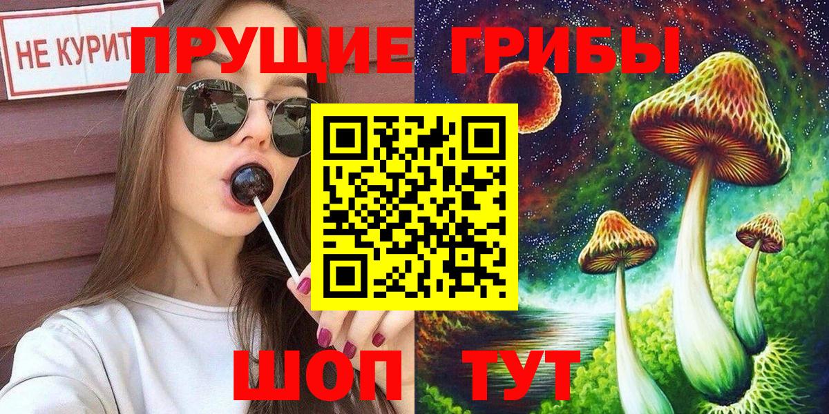 Галлюциногенные грибы Psilocybine cubensis  Галлюциногенные грибы Cubensis  Вход с VPN  Балашиха 