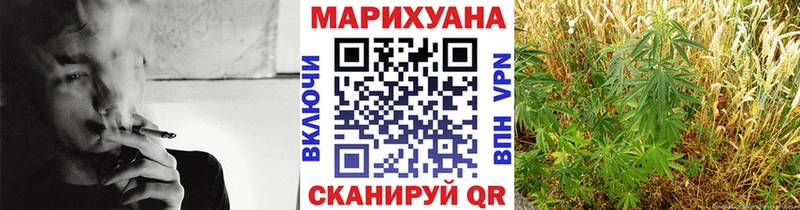 где найти наркотики  Балашиха  Конопля планчик 